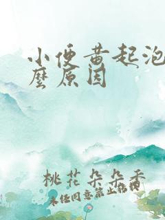 小便黄起泡是什么原因