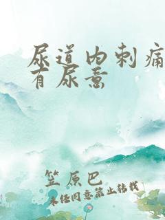 尿道内刺痛一直有尿意