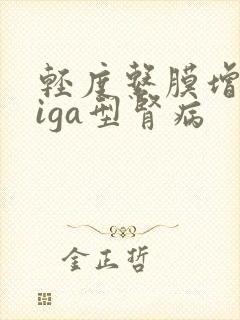 轻度系膜增生性iga型肾病