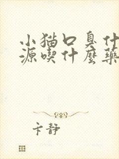 小猫口臭什么根源吃什么药