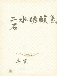 二水磷酸氢钙结石