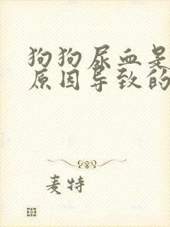 狗狗尿血是什么原因导致的