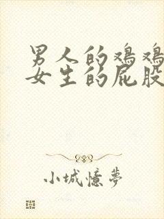 男人的鸡鸡插入女生的屁股里