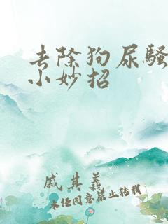 去除狗尿骚味的小妙招