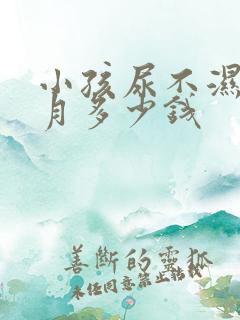 小孩尿不湿一个月多少钱