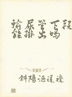 输尿管下段结石能排出吗