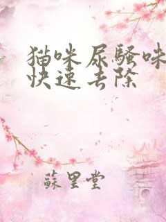 猫咪尿骚味怎么快速去除