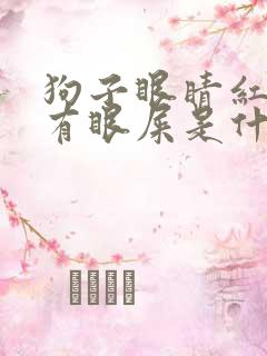 狗子眼睛红流泪有眼屎是什么原因