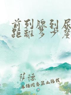 前列腺到尿道口距离多少厘米