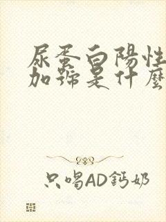 尿蛋白阳性1个加号是什么原因