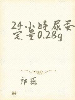 24小时尿蛋白定量0.28g