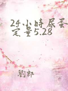 24小时尿蛋白定量5.28