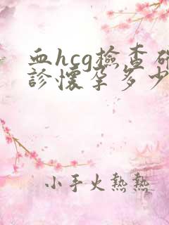 血hcg检查确诊怀孕多少钱