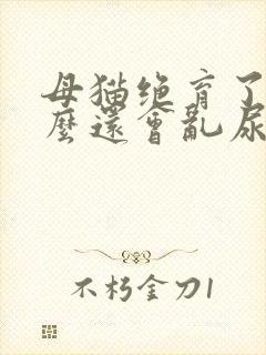 母猫绝育了为什么还会乱尿