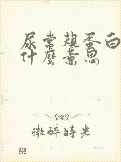 尿常规蛋白1+什么意思