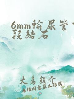 6mm输尿管下段结石
