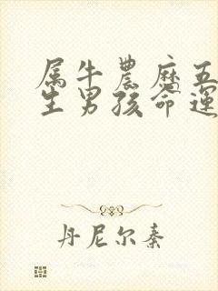 属牛农历五月出生男孩命运