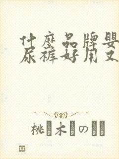 什么品牌婴儿纸尿裤好用又透气