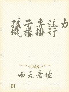 孩子专注力培训机构排行