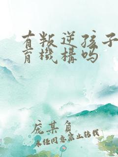 有叛逆孩子的教育机构吗