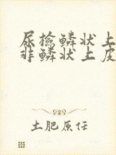 尿检鳞状上皮和非鳞状上皮高