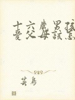 十六岁男孩谈恋爱父母该怎么办