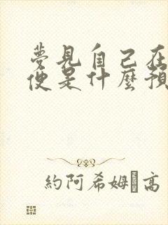 梦见自己在拉大便是什么预兆解梦