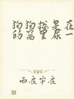 狗狗总是在新换的窝里尿一泡