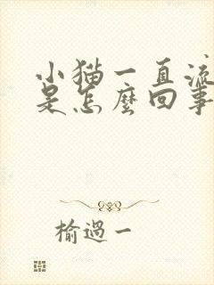 小猫一直流血尿是怎么回事