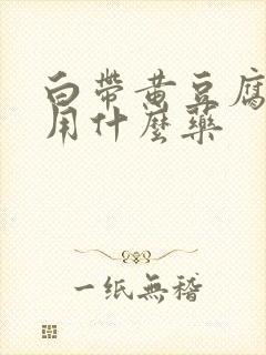 白带黄豆腐渣状用什么药