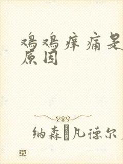 鸡鸡痒痛是什么原因