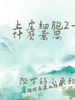 上皮细胞2十是什么意思