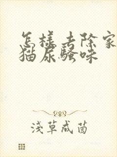 怎样去除家里的猫尿骚味