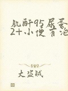 肌酐95尿蛋白2+小便有泡沫怎么办