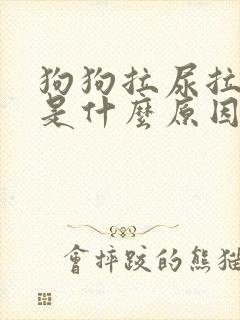 狗狗拉尿拉出血是什么原因