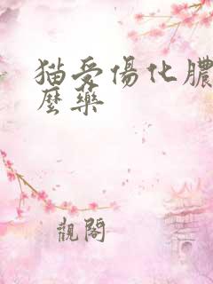 猫受伤化脓吃什么药