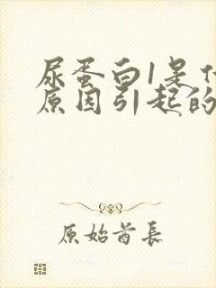 尿蛋白1是什么原因引起的