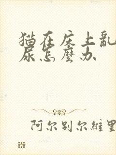 猫在床上乱拉乱尿怎么办