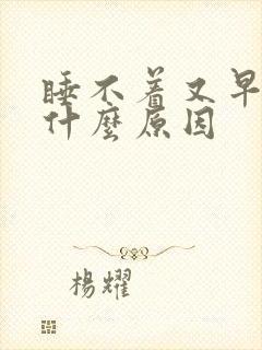 睡不着又早醒是什么原因