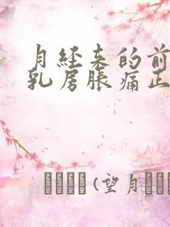 月经来的前几天乳房胀痛正常吗