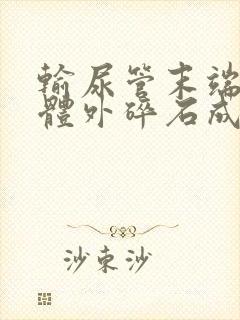 输尿管末端结石体外碎石成功率