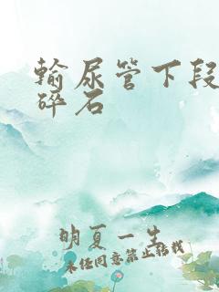 输尿管下段结石碎石