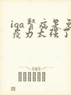 iga肾病是免疫力太强了吗