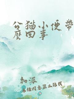 公猫小便带血怎么回事