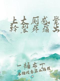 上大厕感觉肛门干裂疼痛出现出血