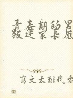 青春期的男孩子叛逆家长应该怎么做