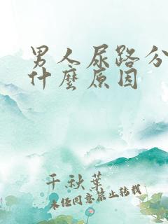 男人尿路分叉是什么原因