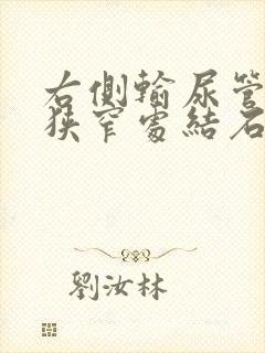 右侧输尿管第三狭窄处结石