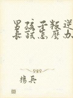 男孩子叛逆期家长该怎么办