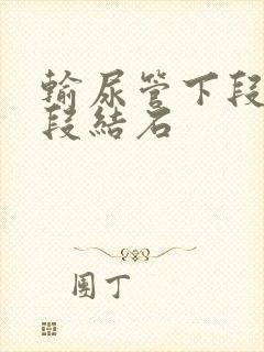 输尿管下段膀胱段结石